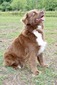 Kuttin’ Ups Taking on the World @ TMA (Gypsy )