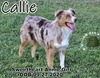 Sweetheart Annie Girl